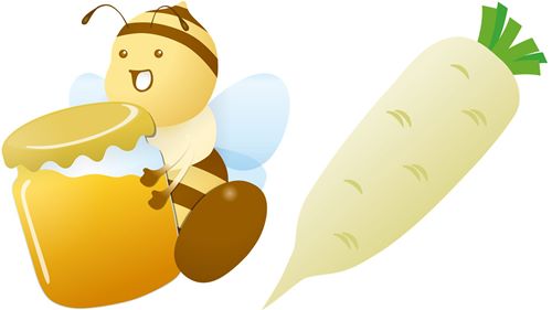 蜂蜜を運ぶ蜂と大根のイラスト