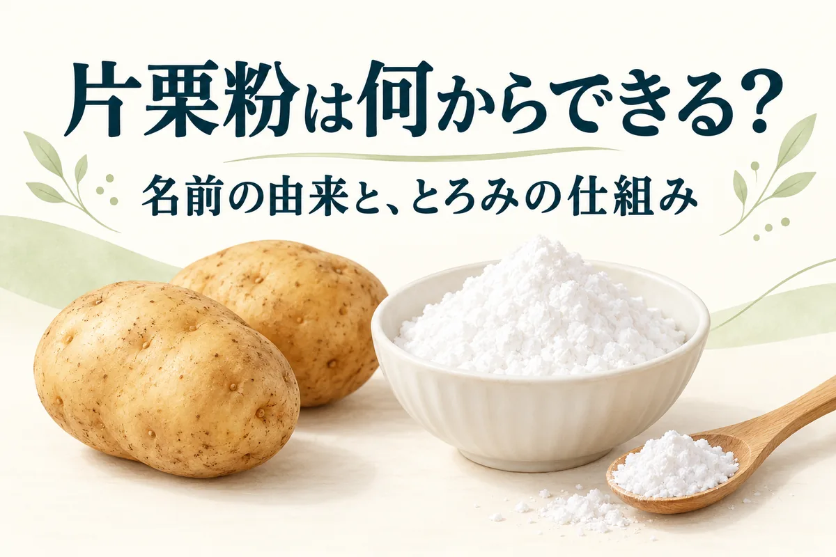 片栗粉は何からできる？名前の由来と、とろみがつく理由