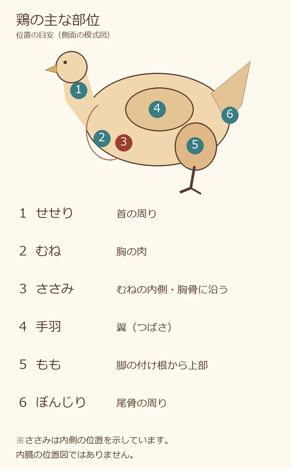鶏の側面模式図。せせりは首、むねは胸、ささみは胸の内側、手羽は翼、ももは脚の上部、ぼんじりは尾骨の周り